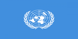 Organización de la Naciones Unidas