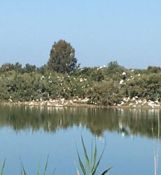 El santuario del Algaida